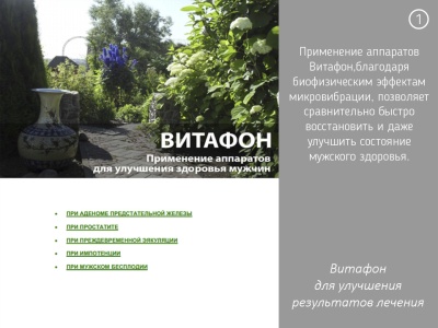 Отзывы о применении Витафона при лечении мужских заболеваний