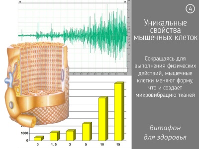 Феномен микровибрации 